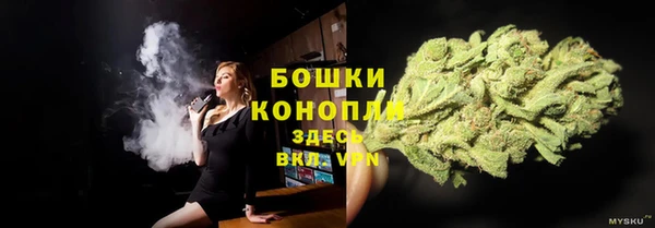 молекула духа Арсеньев