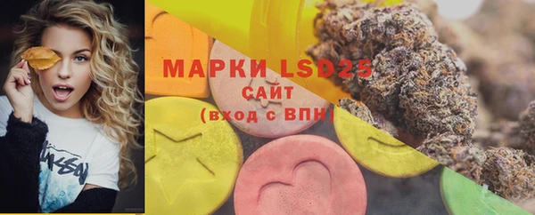 PSILOCYBIN Алексеевка
